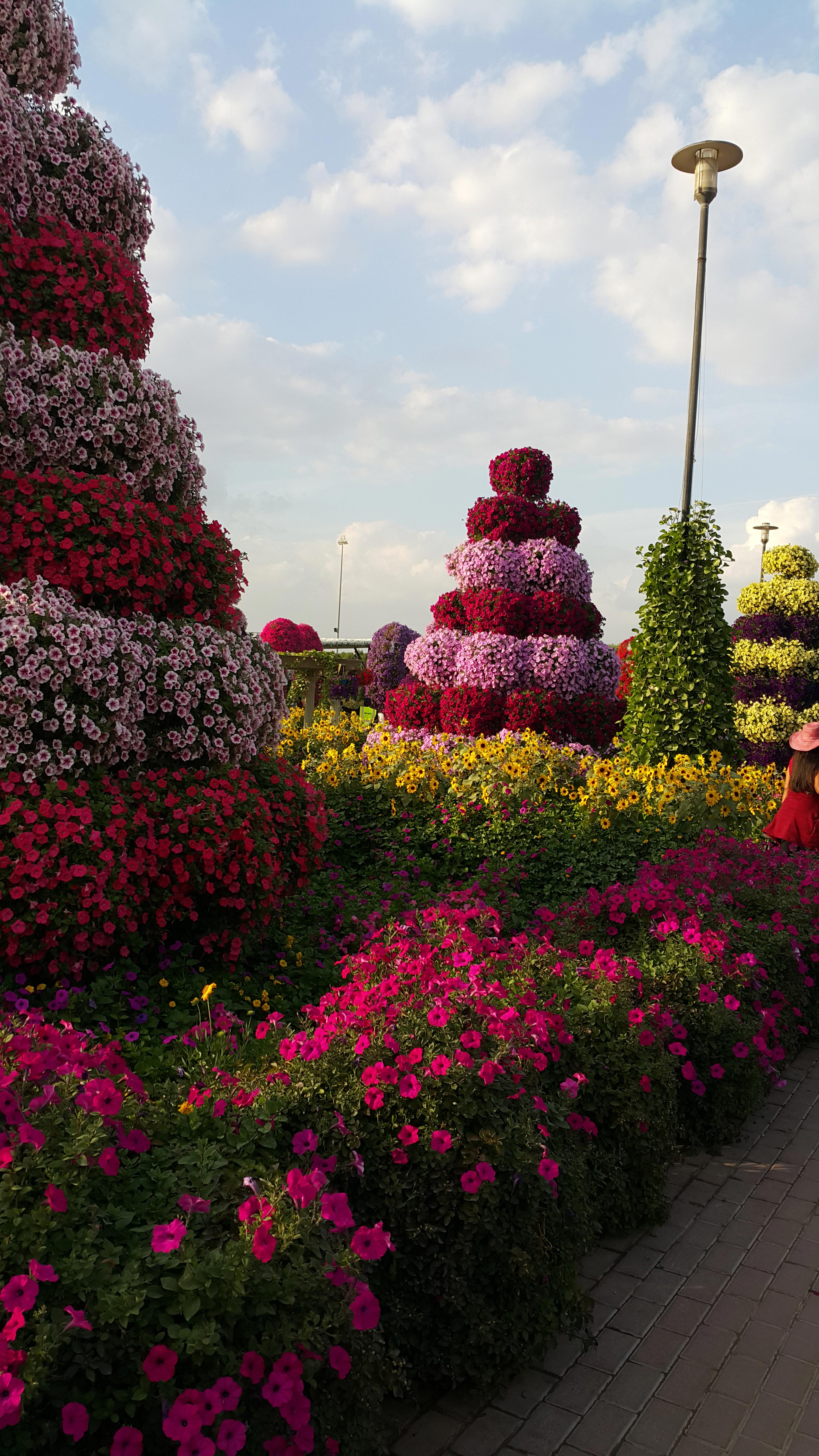 Miracle garden фото